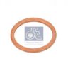 DT 9.01007 Seal Ring